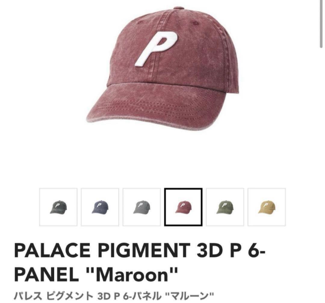 帽子 PALACE SKATEBOARDS PIGUMENT 3D P-6-PANEL