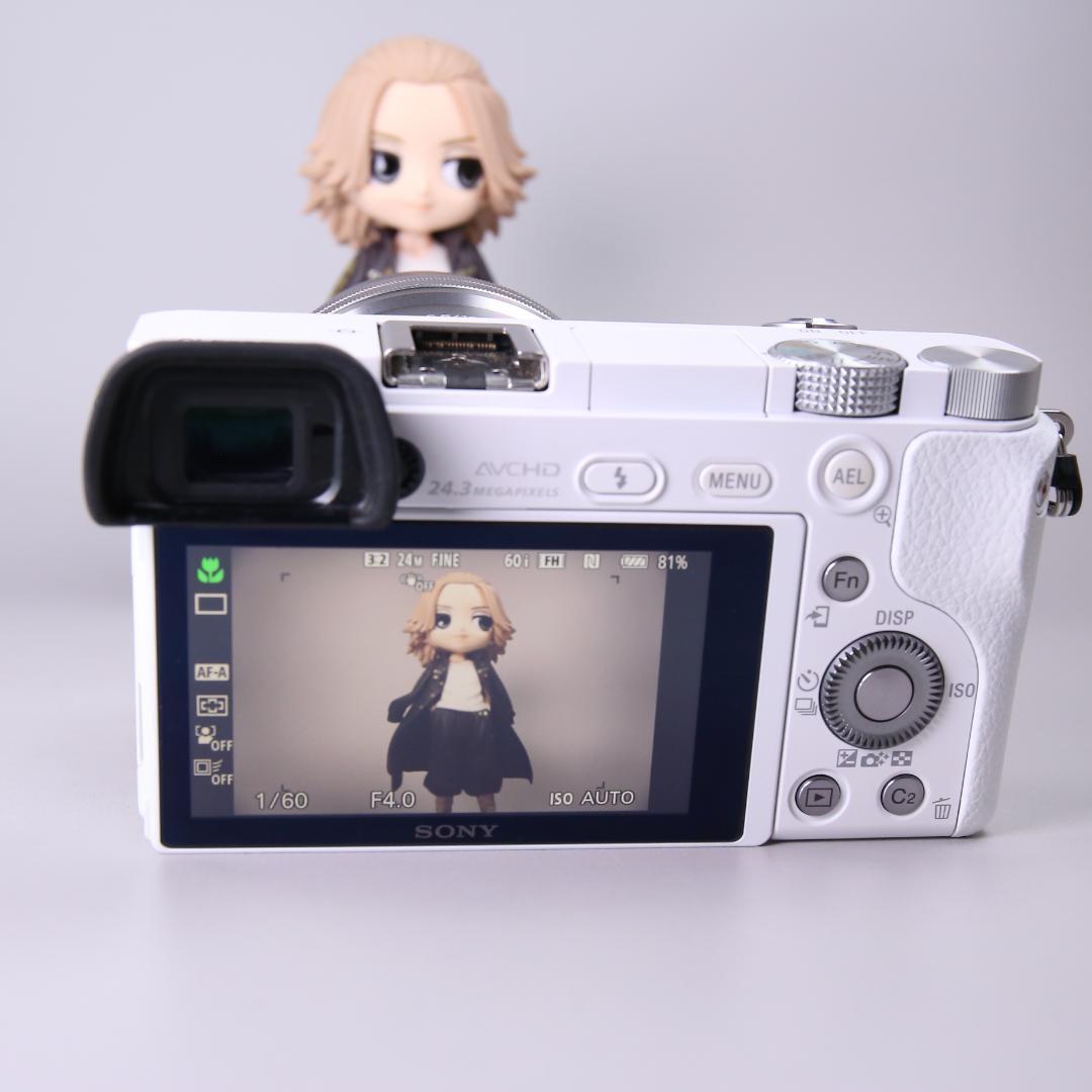 ☆美品ショット10082回☆SONY a6000 E 16-50mm　＃519