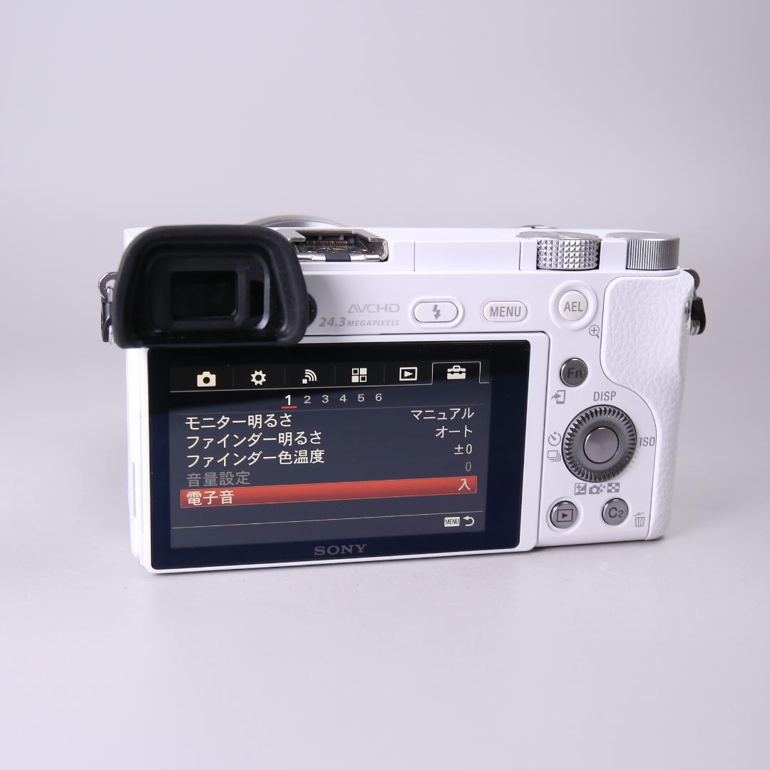 ☆美品ショット10082回☆SONY a6000 E 16-50mm　＃519