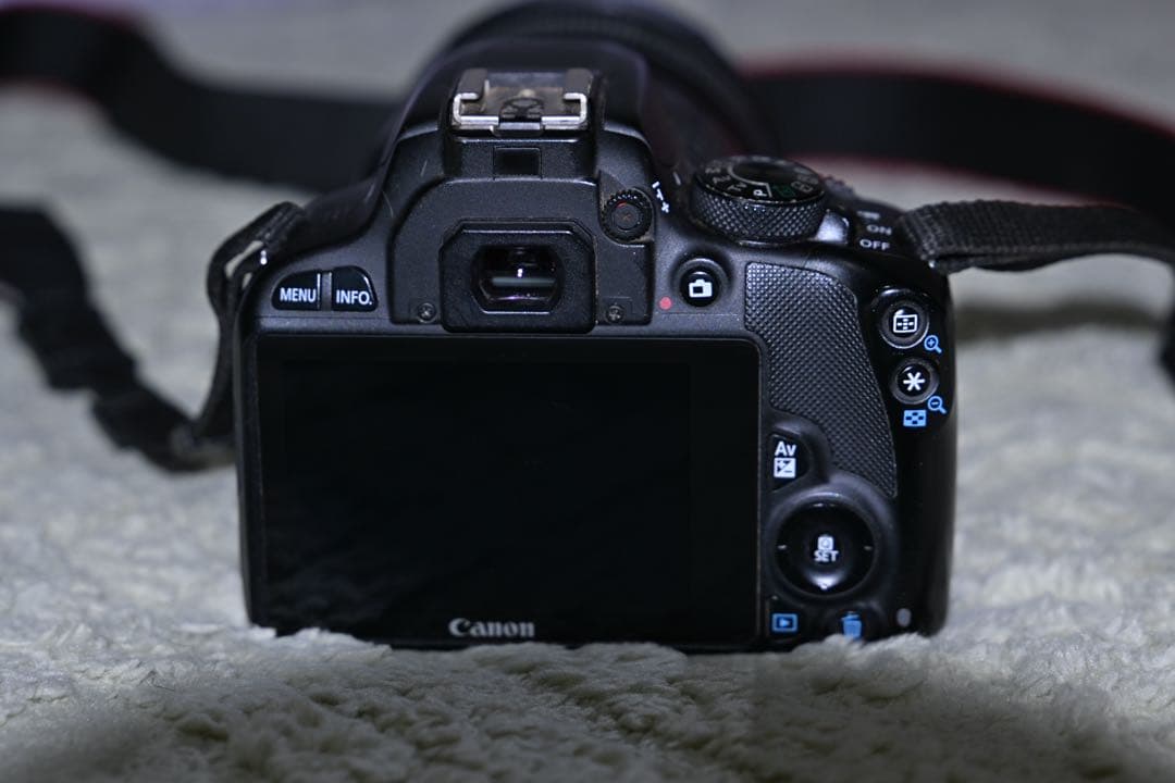 Canon EOS Kiss ボディとレンズEF 24-105mm f/4