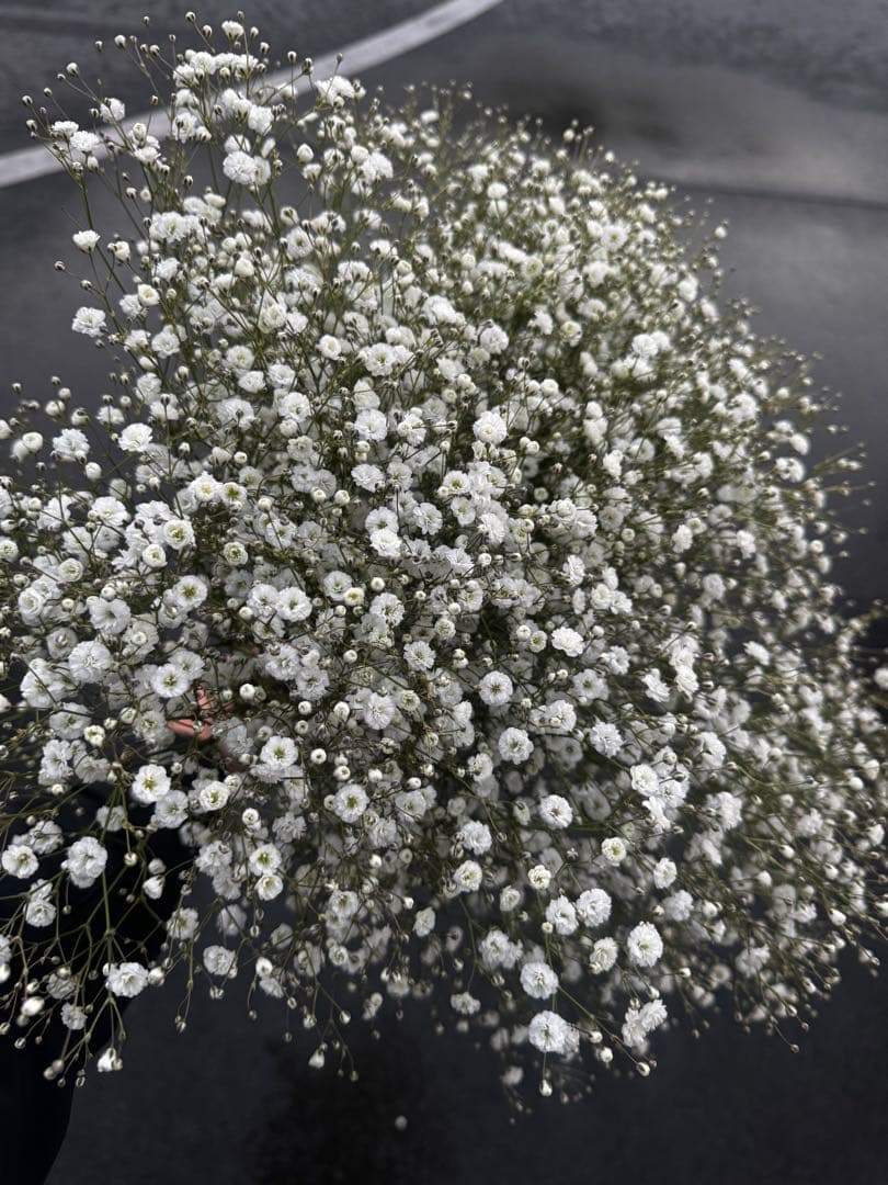 grande domani様 リクエスト 3点 まとめ商品