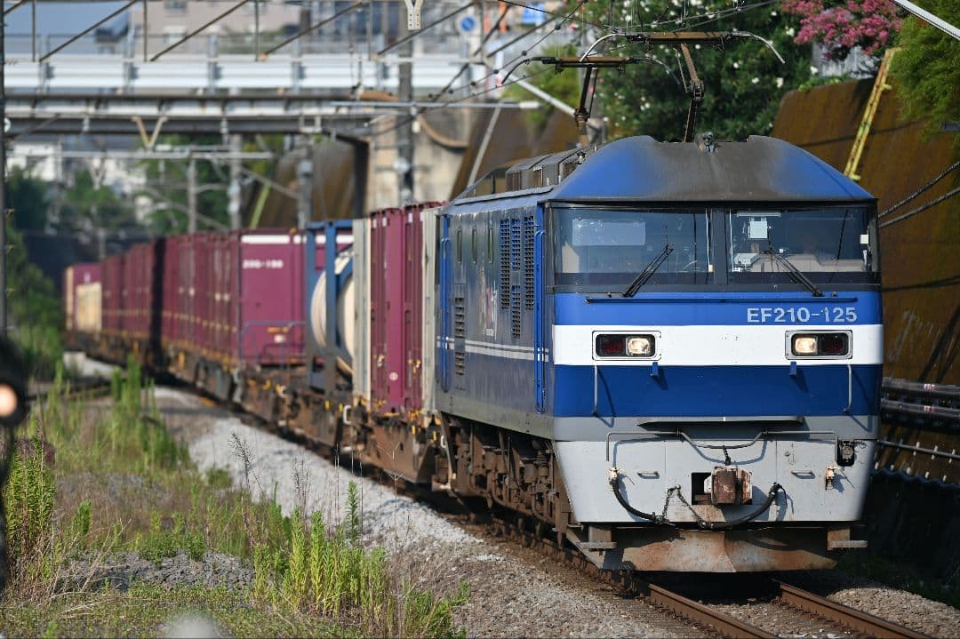 レンズ(単焦点) Nikon AF-S NIKKOR 300mm f2.8 D ED