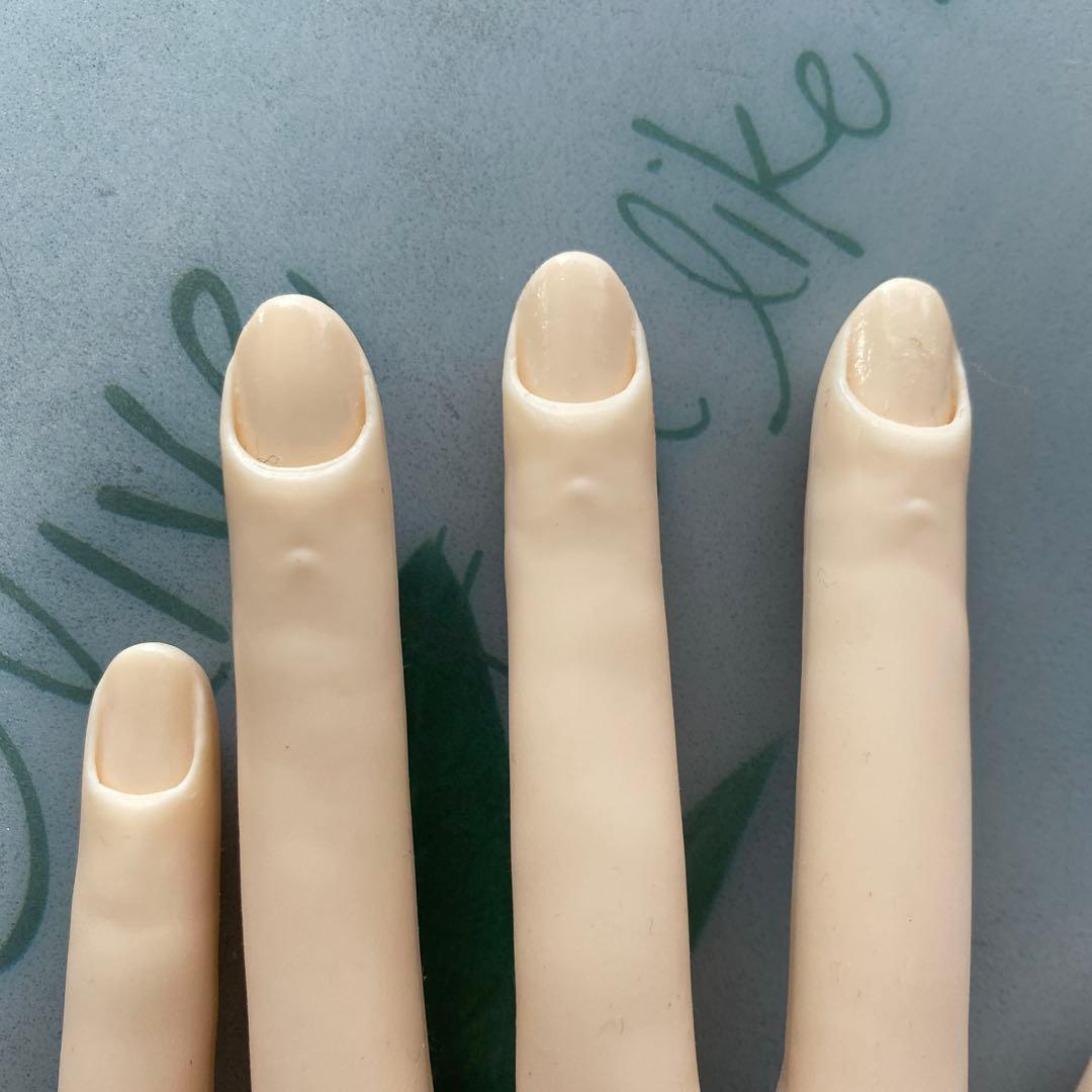 JNEC認定　STモデルハンド　練習用マネキン　ネイル検定