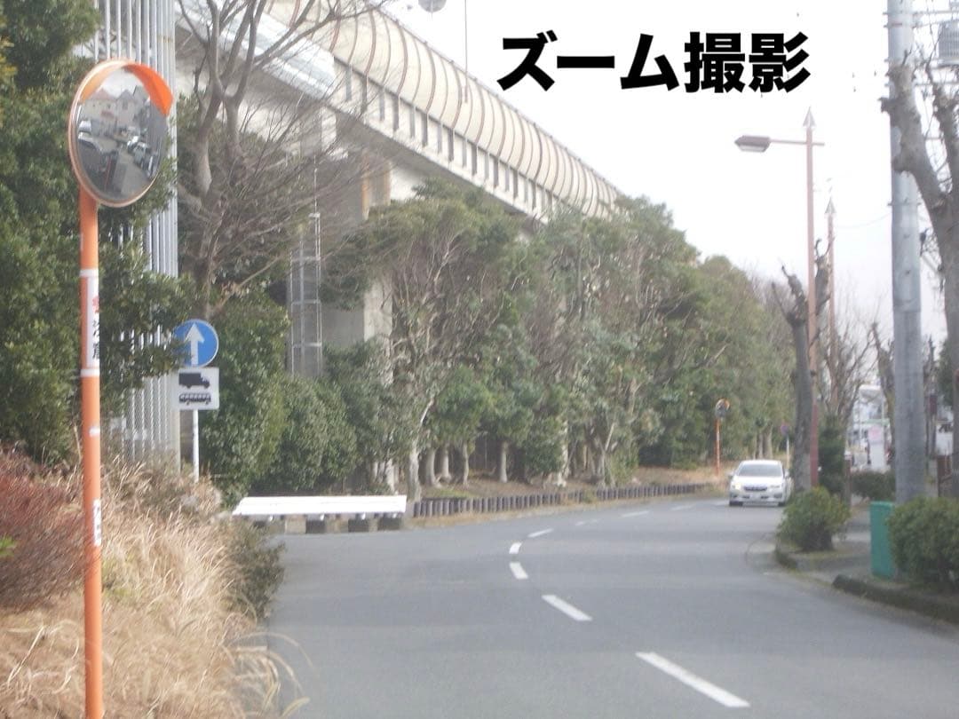 実写美⭕️【動作確認済】ペンタックス　PENTAX Optio S50