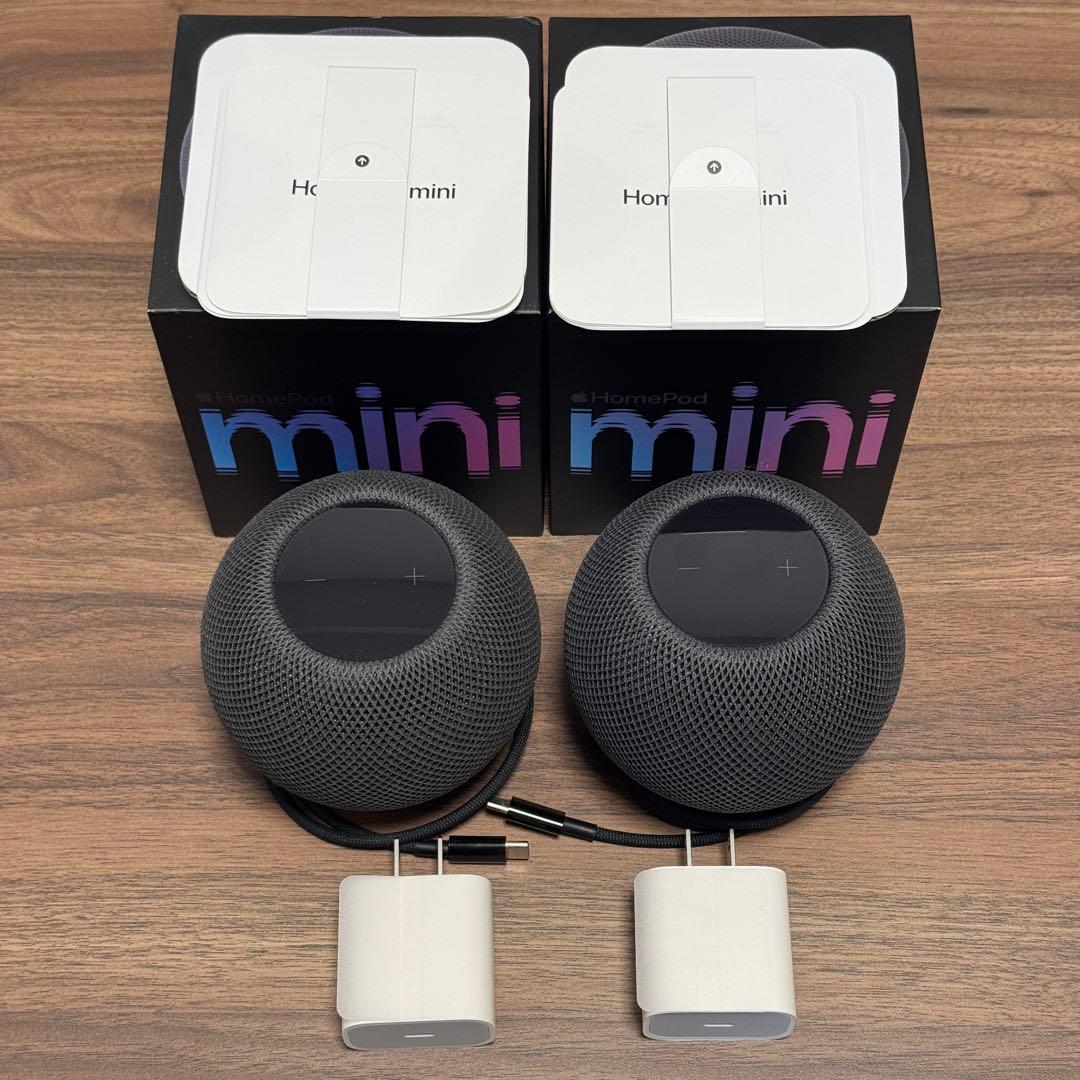 Apple Pod mini スペースグレイ 2個セット