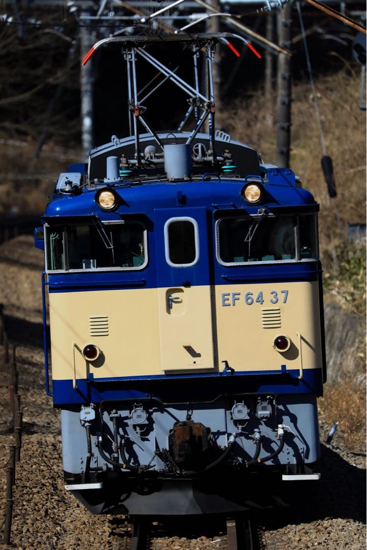 レンズ(ズーム) SIGMA 150-600mm F5-6.3 contemporary