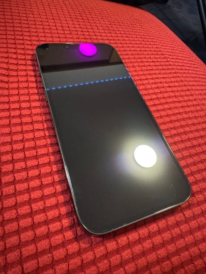 極美品 ※最安値※ iPhone 13 Pro Max 1TB SIMフリー