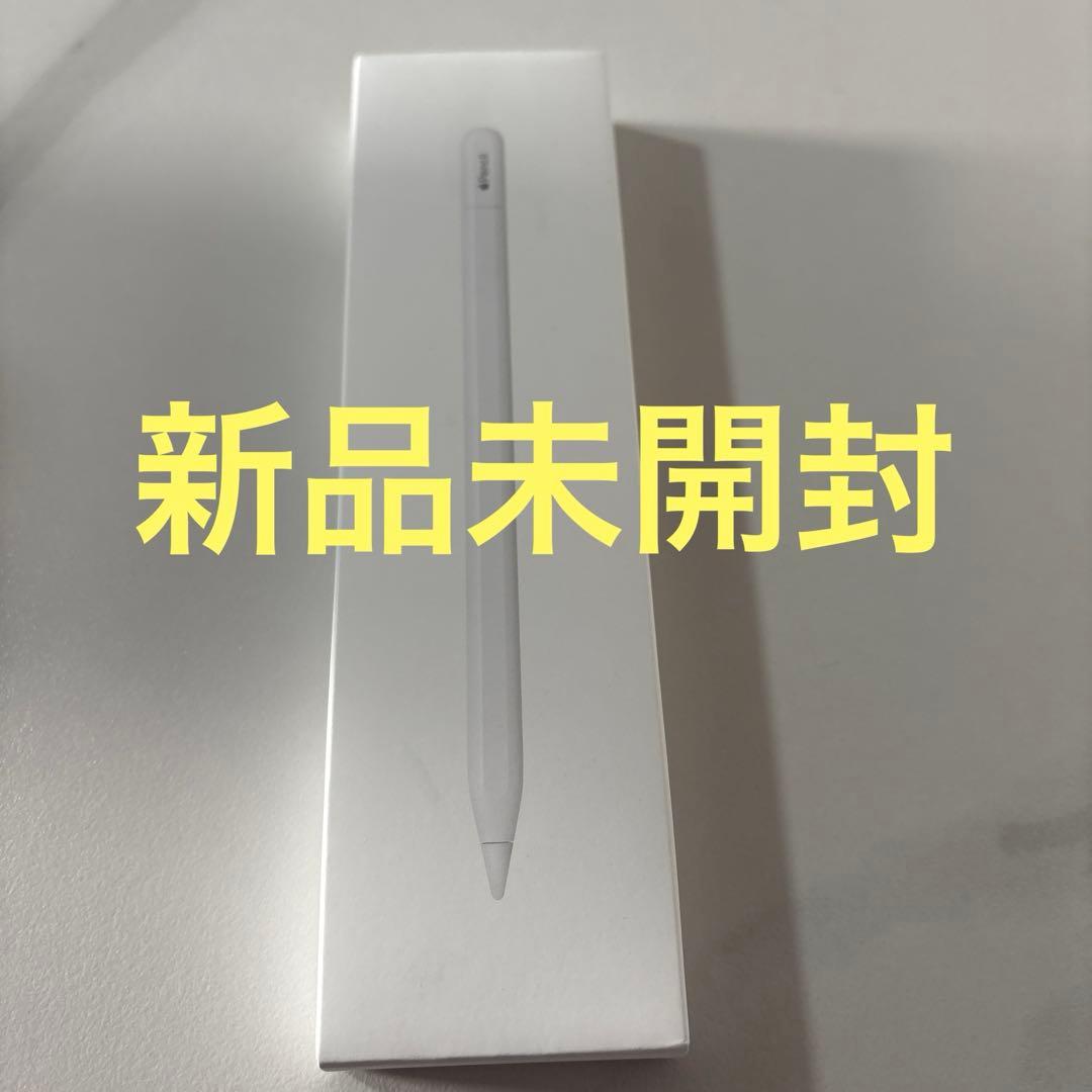 iPadアクセサリー Apple Pencil(usb-c)