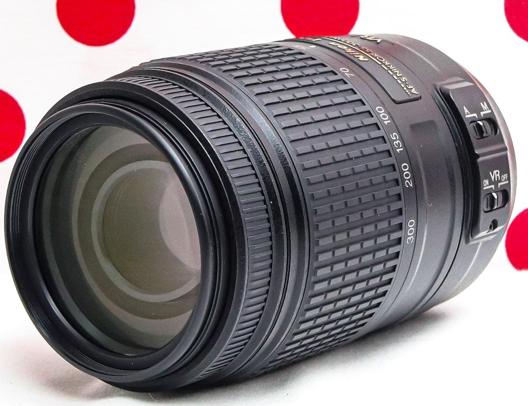 ニコン Nikon AF-S 55-300mm❤手振れ補正付❤300㎜望遠レンズ