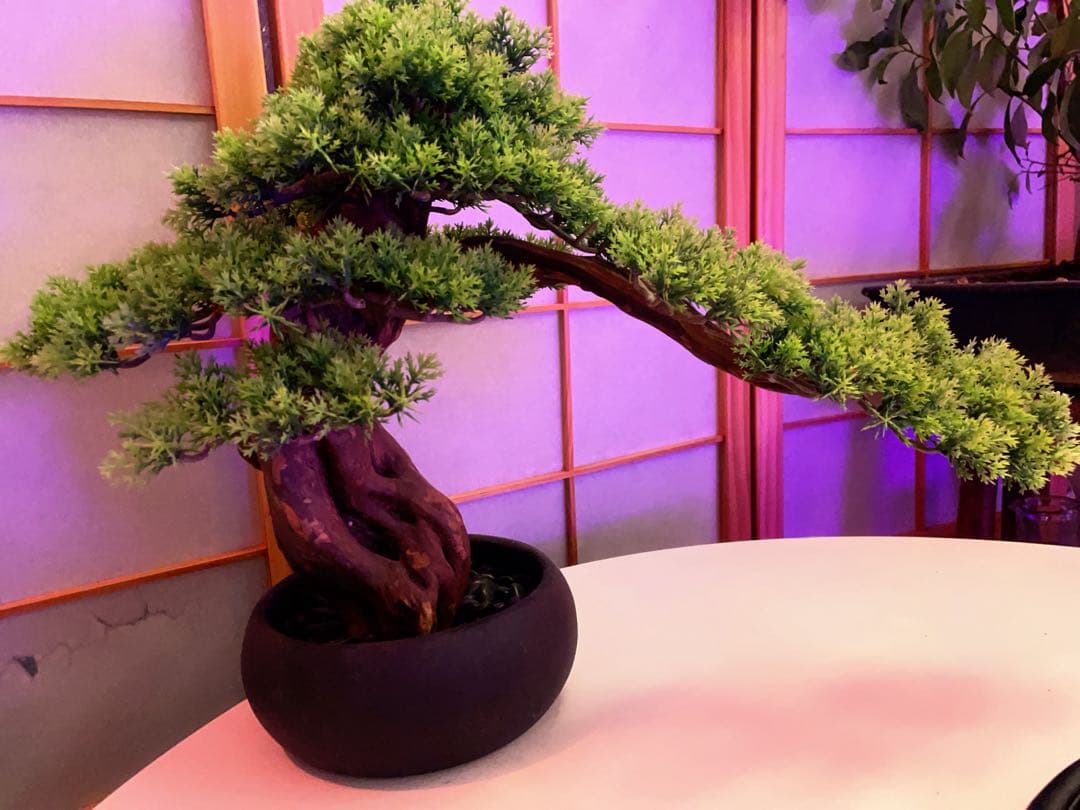 人工観葉植物 盆栽風 中型 緑