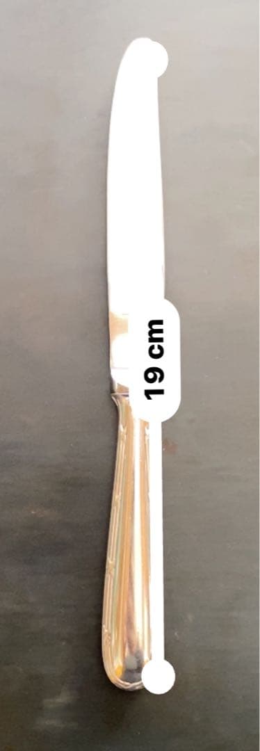 クリストフルホテルカトラリーセット 10点