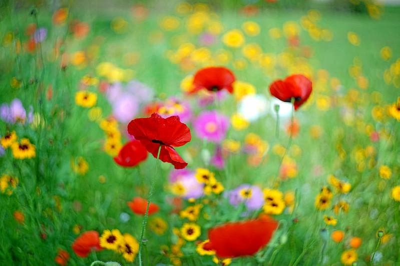 68 　美品　HELIOSヘリオス　44-2ぐるぐるボケレンズ メタル製フード付