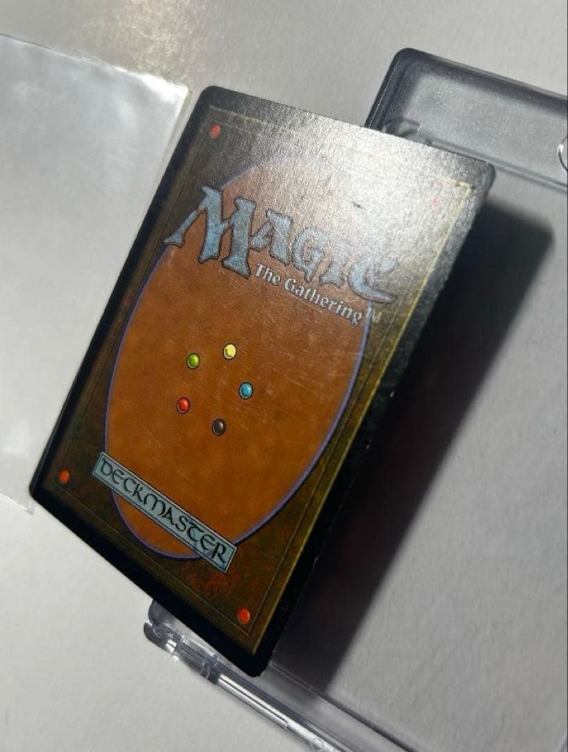 セラの聖域 1枚