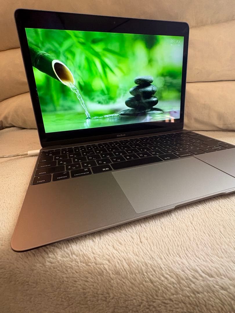 【すぐ使える】Apple MacBook12インチ(2017)