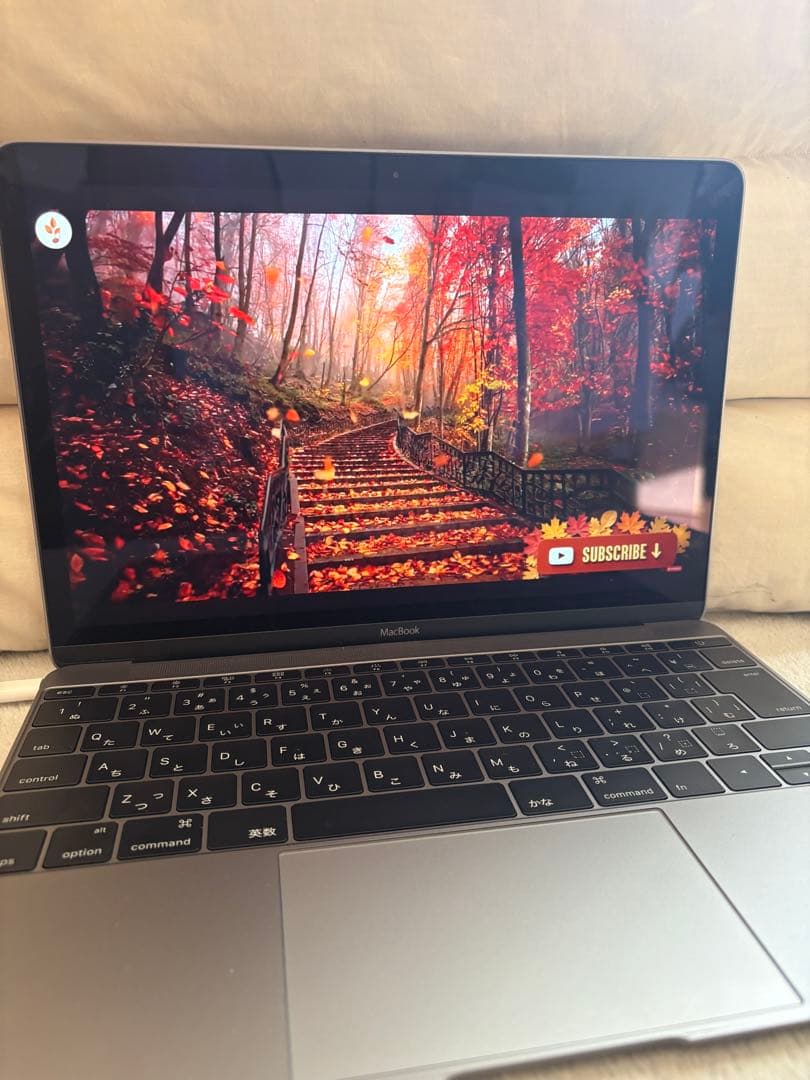 【すぐ使える】Apple MacBook12インチ(2017)