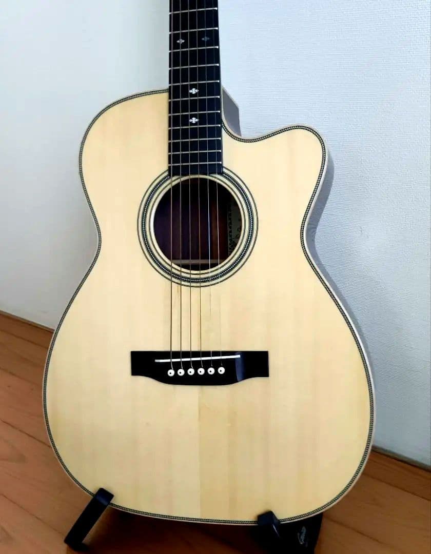 【限定特価】アストリアス ソロ ヘリンボーン セミハードケース+弦2セット