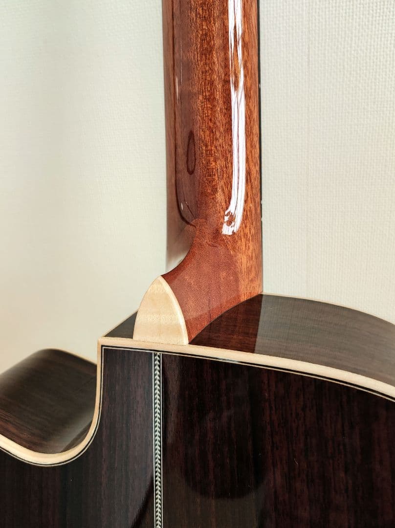 【限定特価】アストリアス ソロ ヘリンボーン セミハードケース+弦2セット