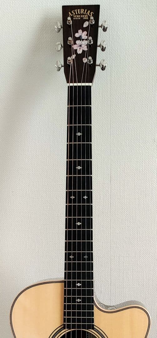 【限定特価】アストリアス ソロ ヘリンボーン セミハードケース+弦2セット