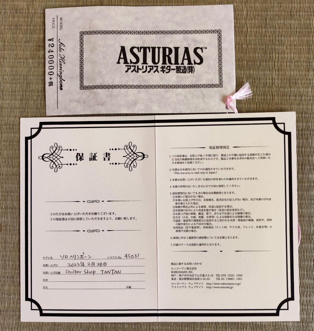 【限定特価】アストリアス ソロ ヘリンボーン セミハードケース+弦2セット