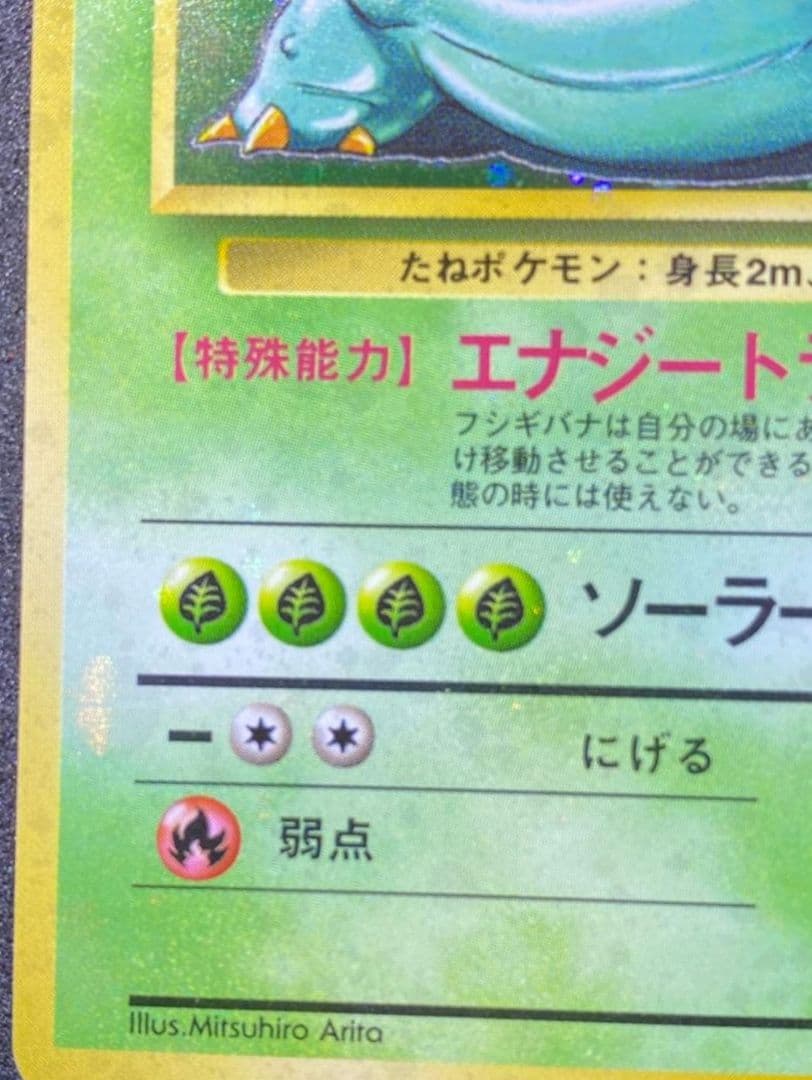 【ars8】フシギバナ　旧裏　全面ホロ　渦巻き　十字　モンボ