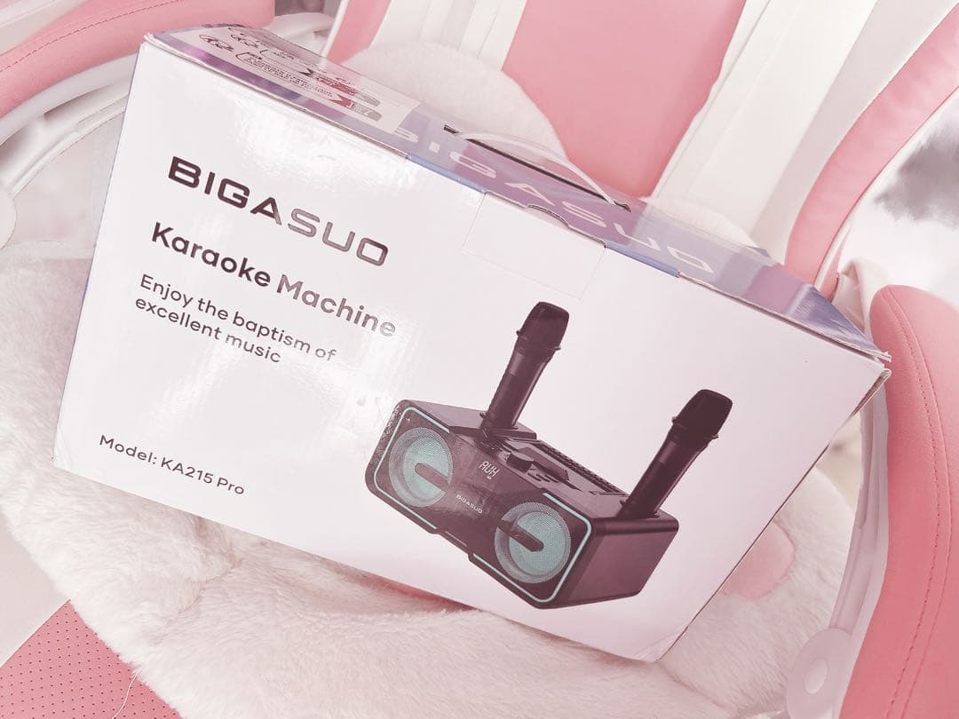 ワイヤレスマイク付きカラオケ機︴スピーカー