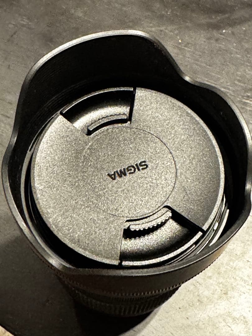 シグマ 28-70mm F2.8 DG DN Eマウント