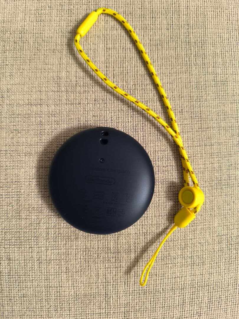 髙*様 ポケモンGO プラスプラス 本体