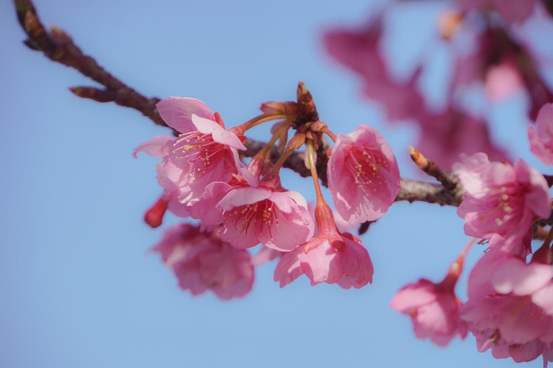 SONY α6400 + TAMRON 18-200mm セット