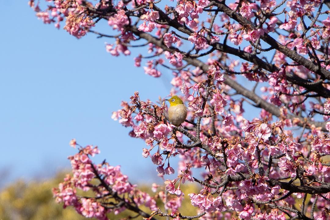 SONY α6400 + TAMRON 18-200mm セット