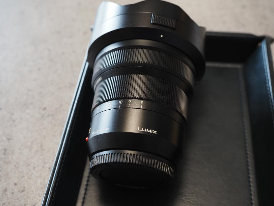 美品　LEICA DG VARIO-ELMARIT 8-18mm