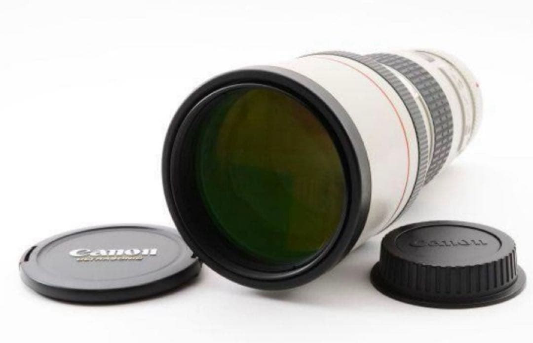 【テレコン付き】Canon EFマウント 300mm + エクステンダー 2x