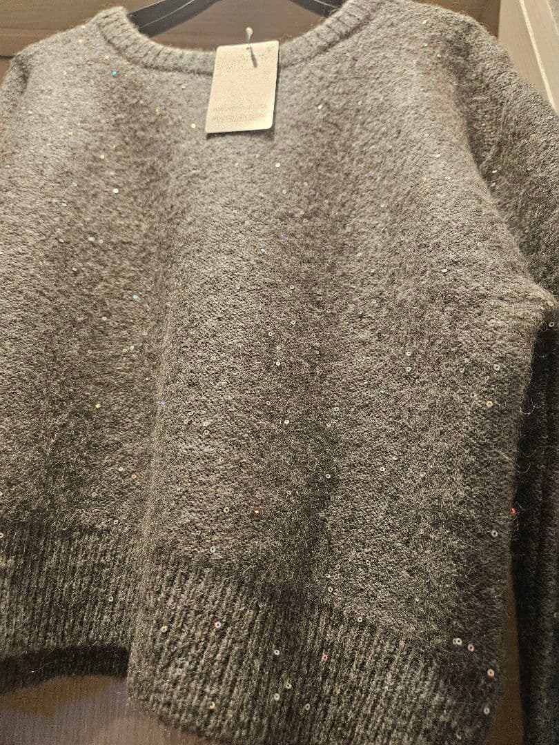 スピックアンドスパン　スパンコールショート丈ニット　グレー　ベイクルーズ