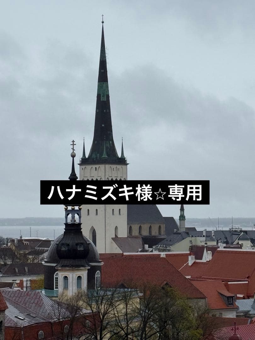 【ハナミズキ様⭐︎専用】