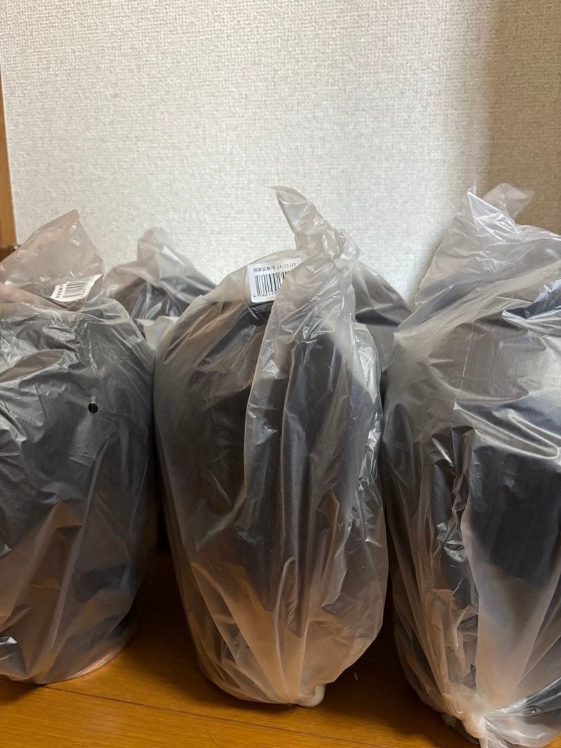 美容師国家試験用 ユーロプロステージ ストレートウィッグ 24-12-23