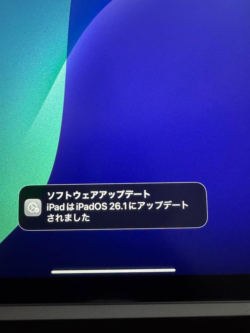 iPad mini6 wifiモデルおまけサードパーティペンシル　使用ケース付