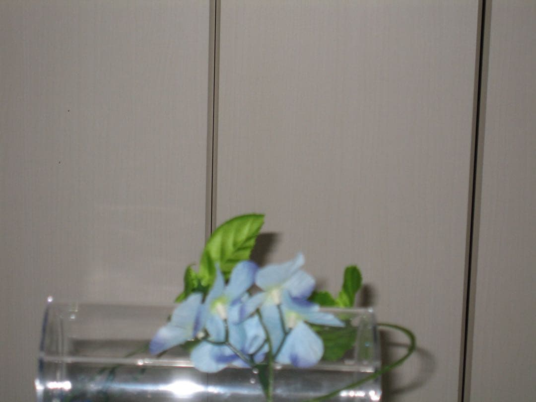 Canon カメラ　IXY 700 PC1169 充電器　箱 コンデジ　動作品