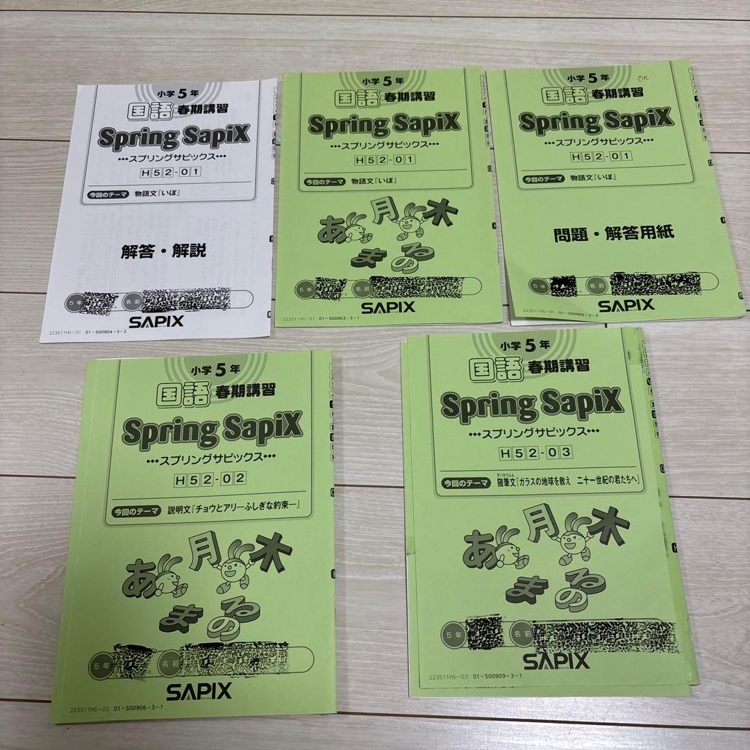 Sapix 五年　国語　フルセット