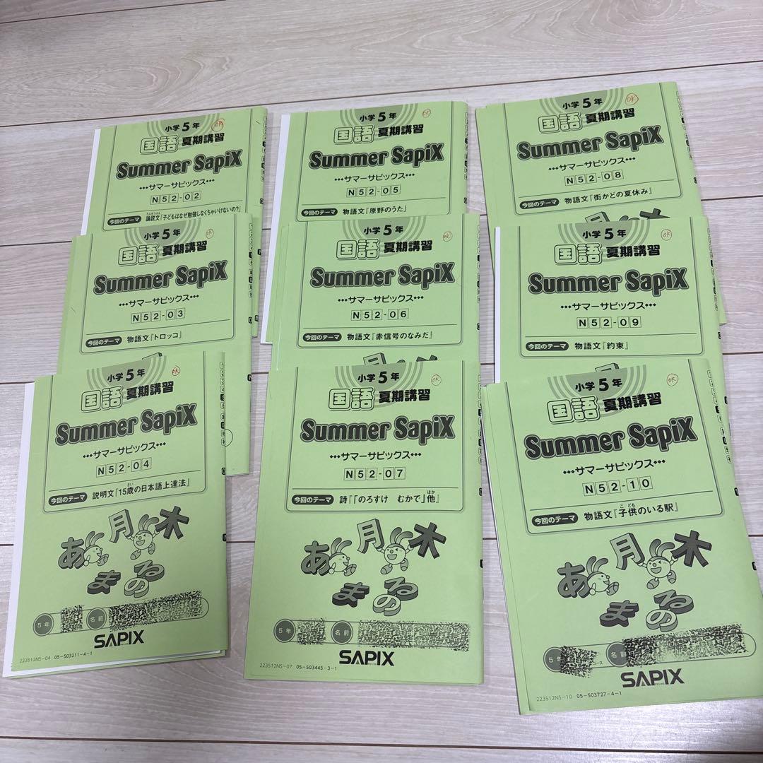 Sapix 五年　国語　フルセット