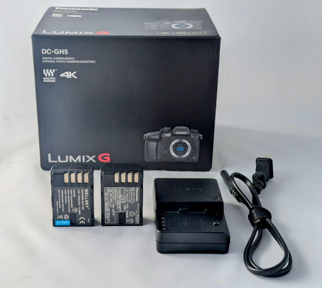 パナソニック GH5 レンズセット（箱・ケージ付き）