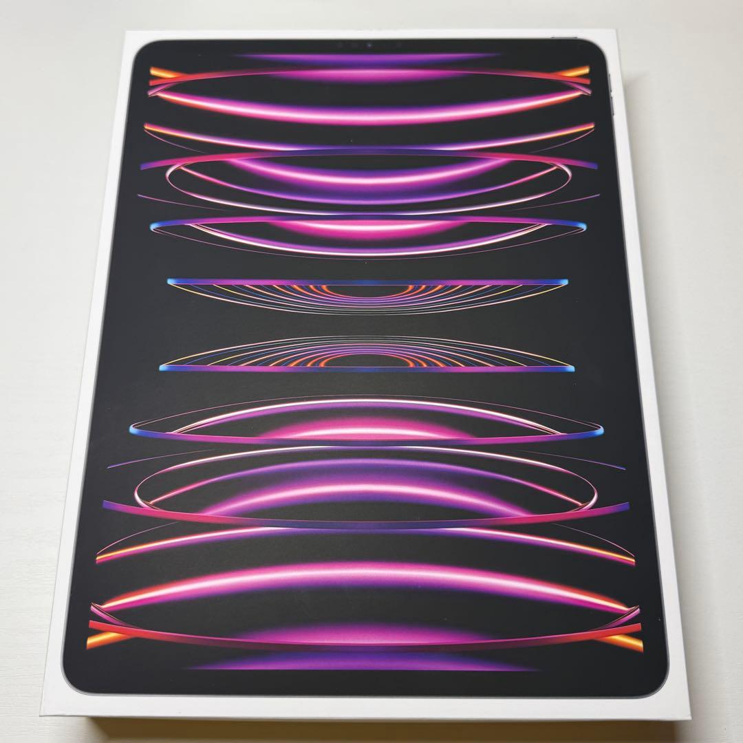 iPad Pro (第6世代) 12.9インチ スペースグレイ 512GB