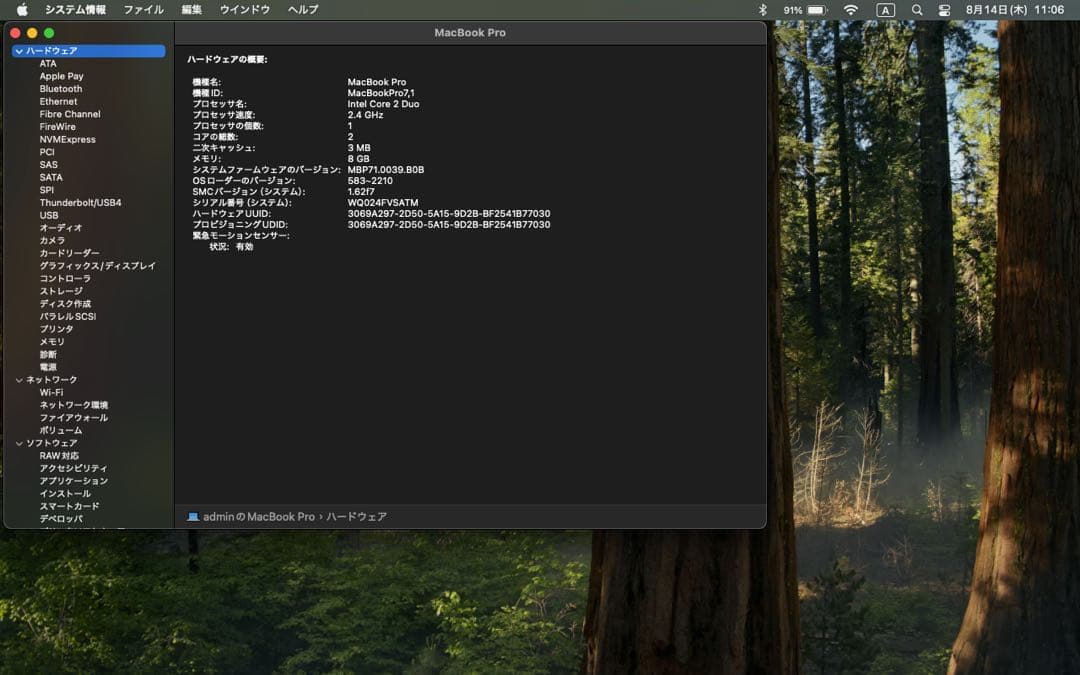 [ジャンク]Macbook Pro Mid2010