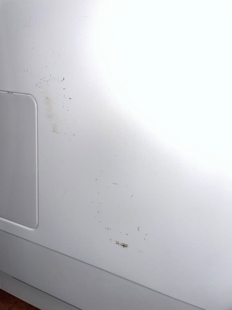 2020年製 HITACHI 電気洗濯乾燥機 BW-DX120E