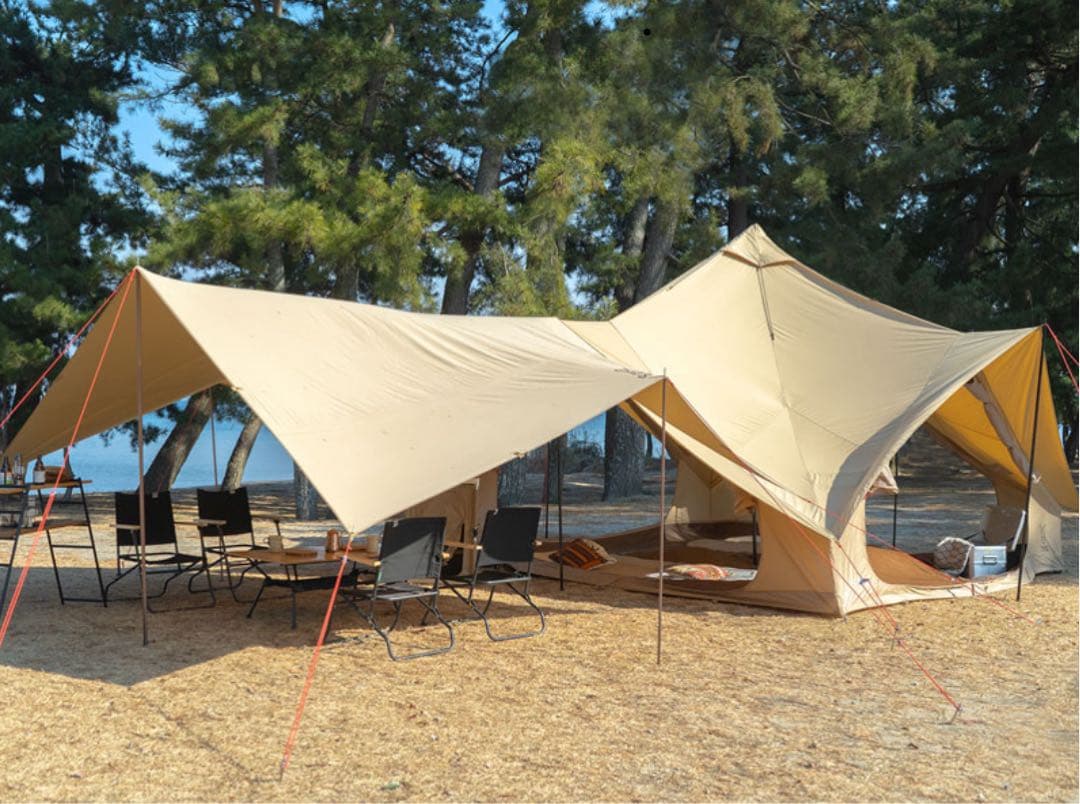 【こてっちゃんページ】ツクツクベース＋ヒレタープ フルセット