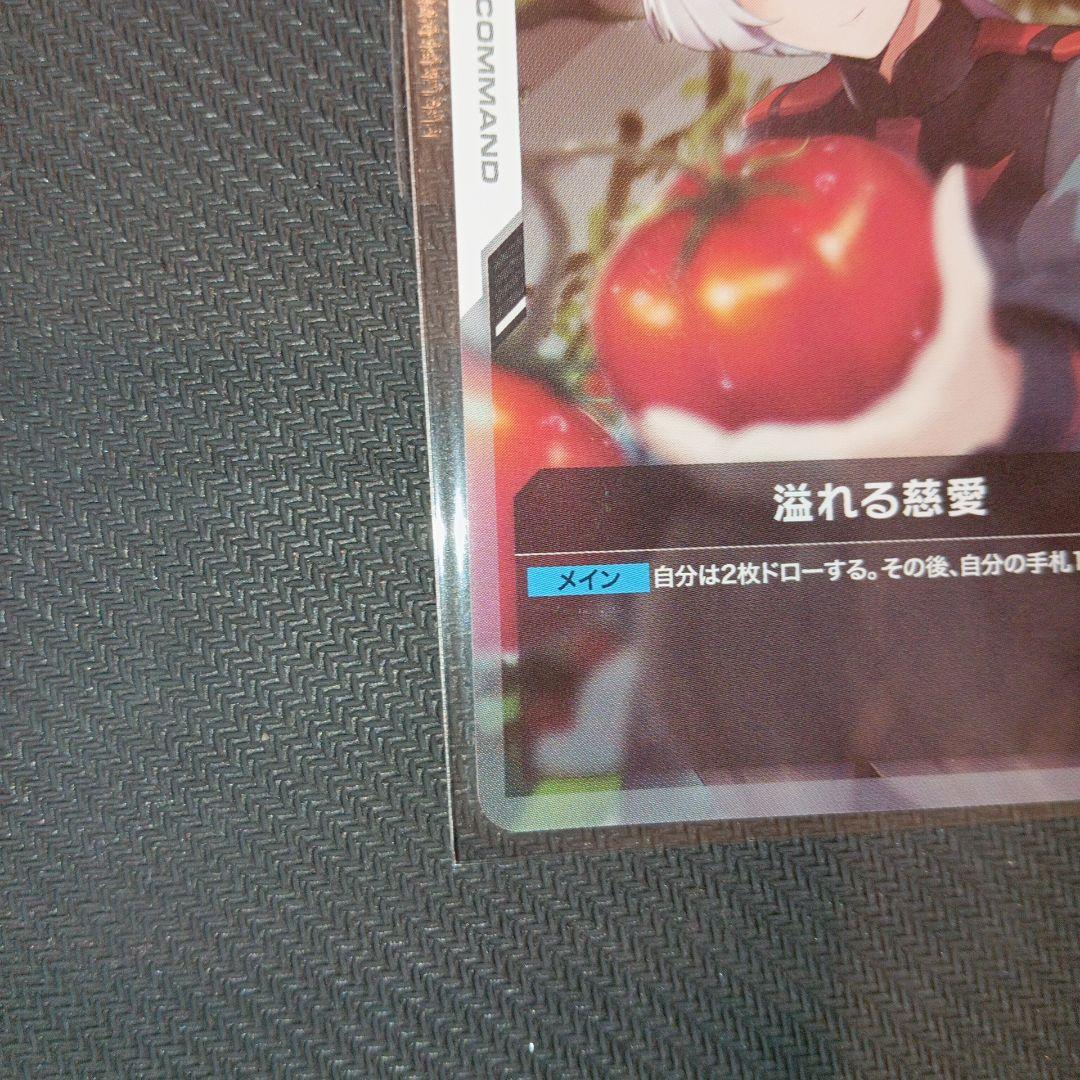 ニュータイプチャレンジ　未開封2枚セット