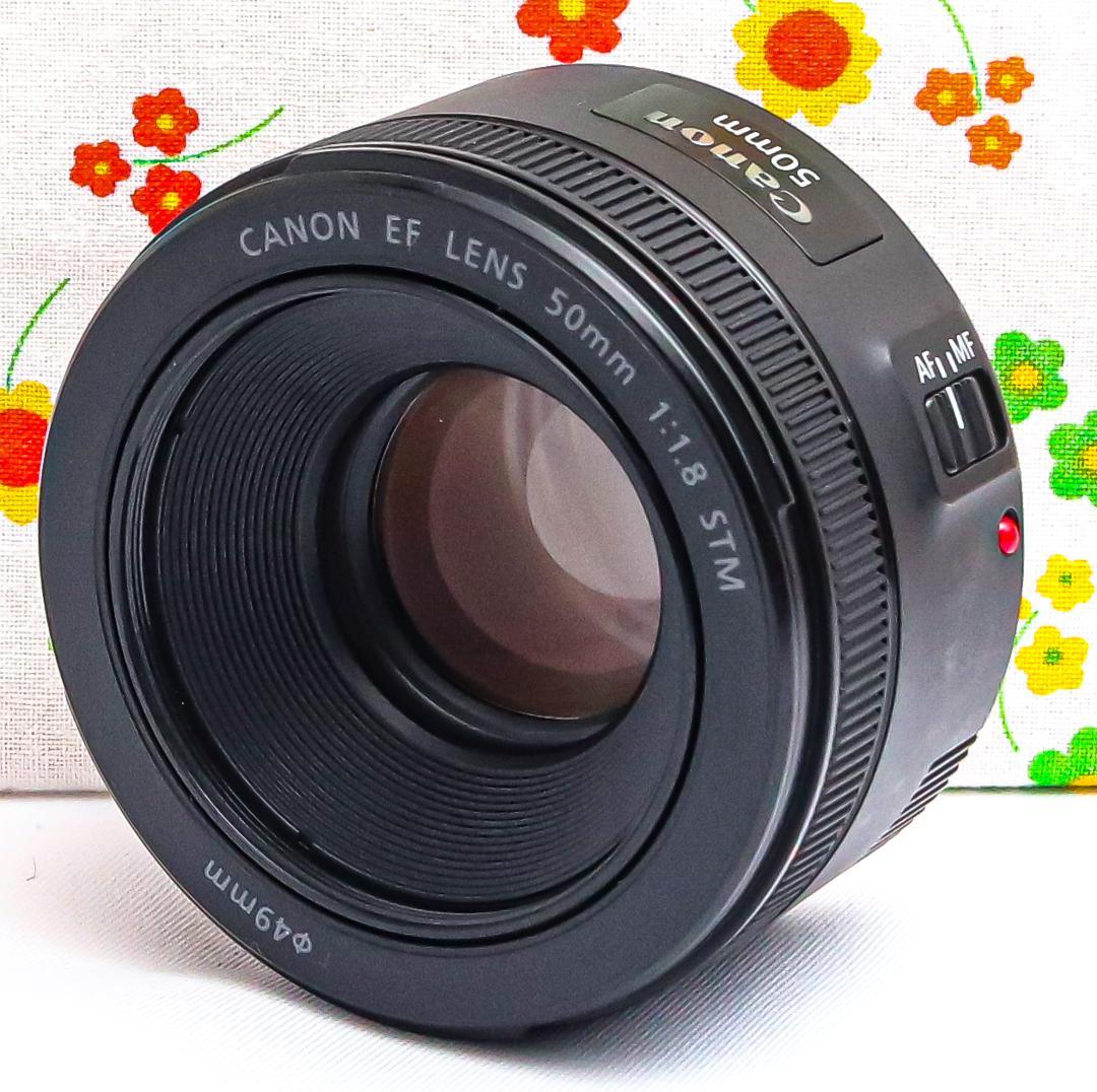 キャノン Canon EF 50mm F1.8☆新型STM☆大人気単焦点デビュー