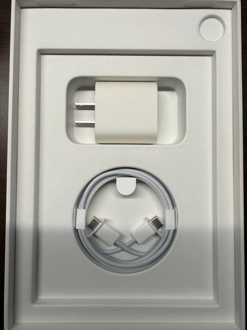 【超美品】iPad mini Wi-Fi +Cellular 256GB-ピンク