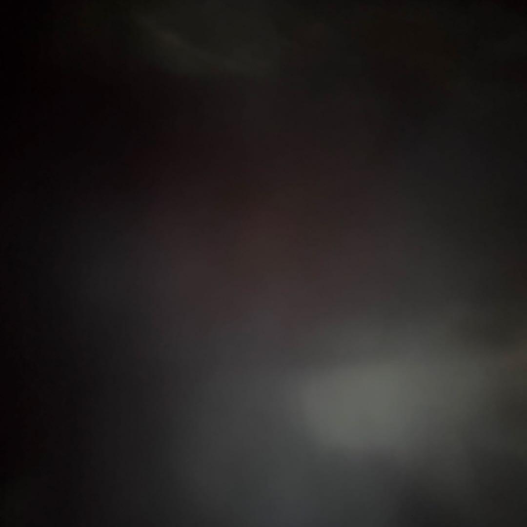 JBL ワイヤレススピーカー PARTYBOX310 n31