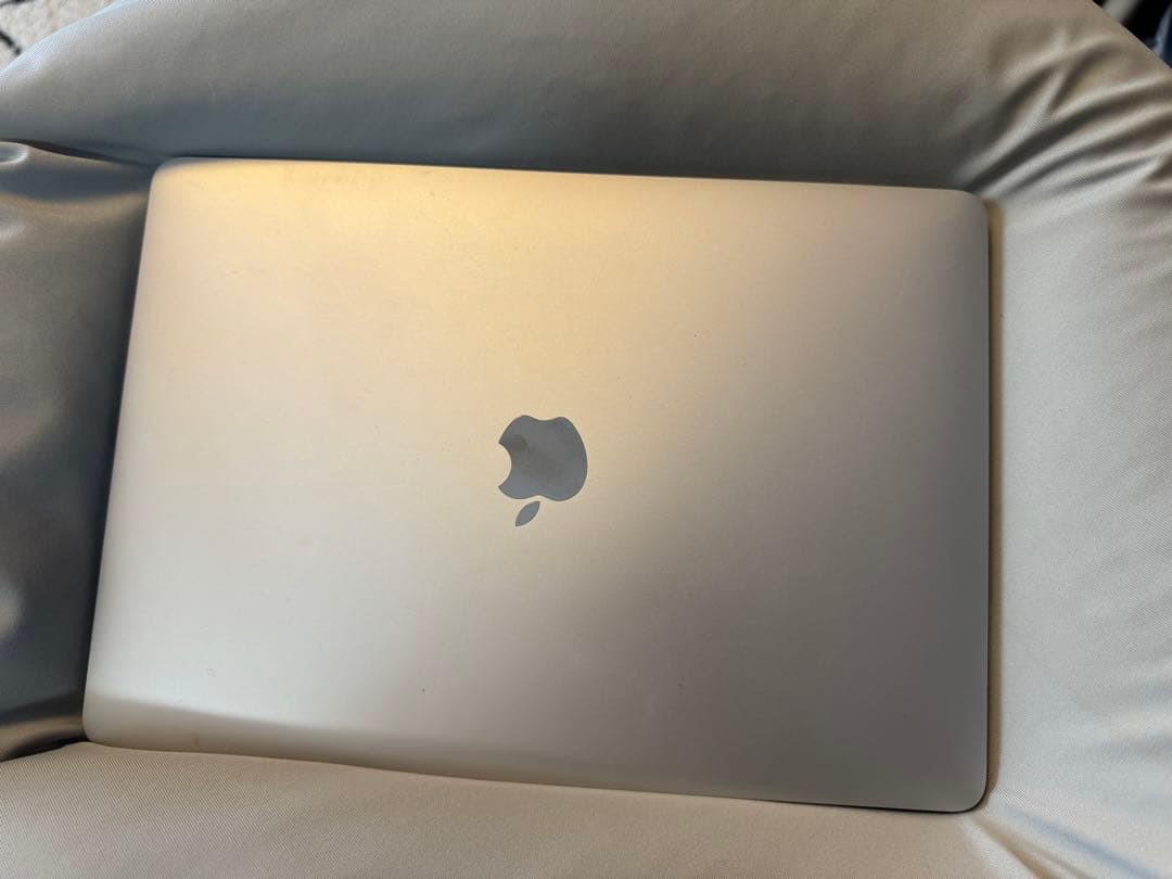 ジャンクApple MacBook Pro A2289 2020