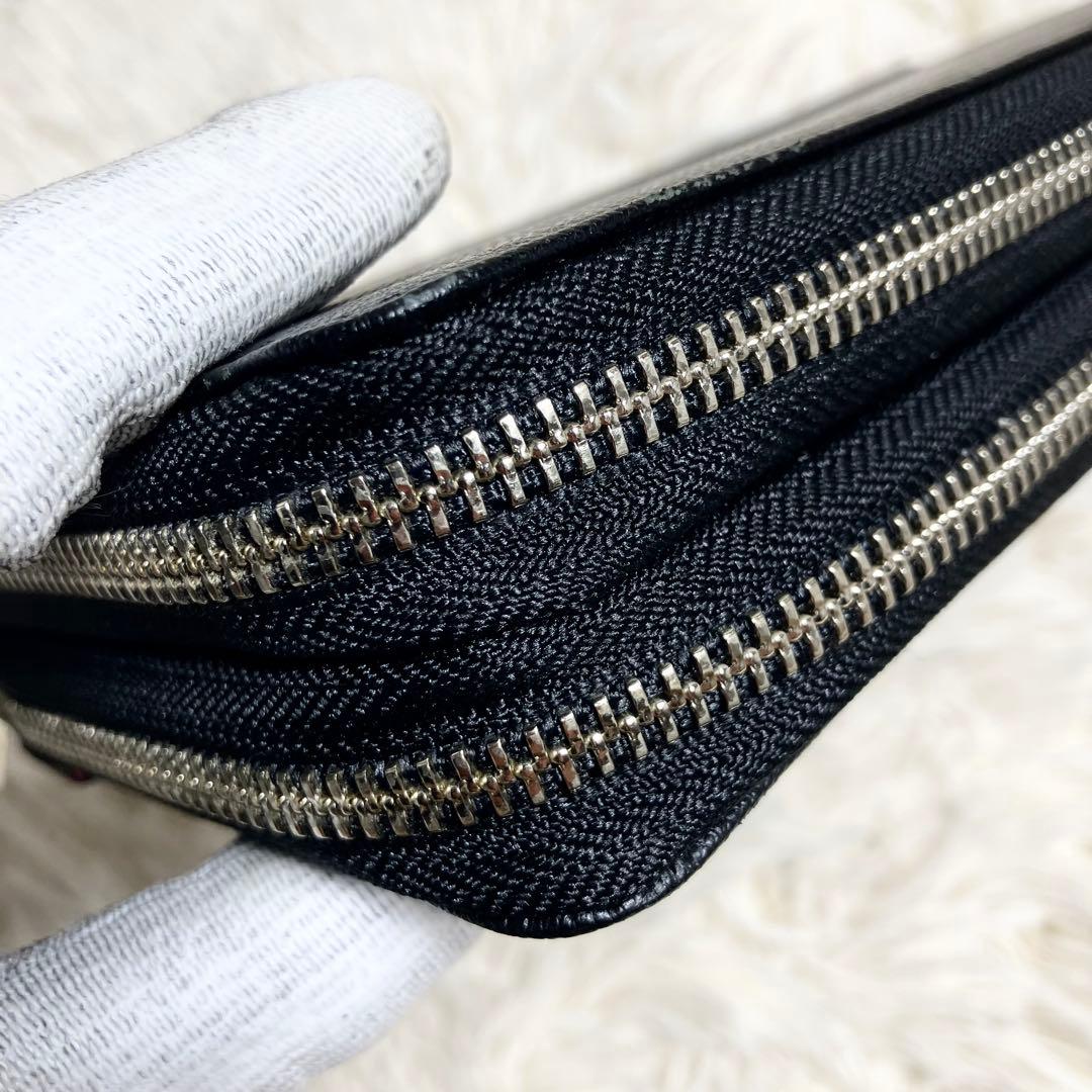 【未使用級】 カステルバジャック オーガナイザー ダブルファスナー