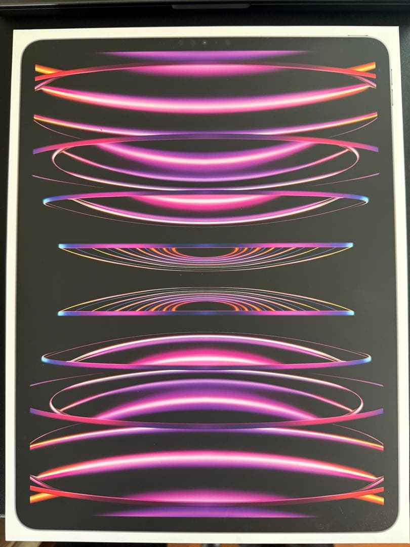 Apple iPad Pro 12.9インチ スペースグレー